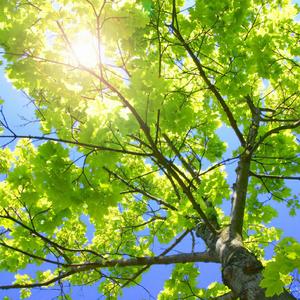 男插女比曲动态图片
